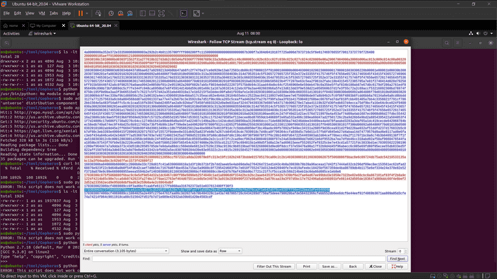 Gopher Wireshark